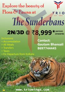 Sunderbans